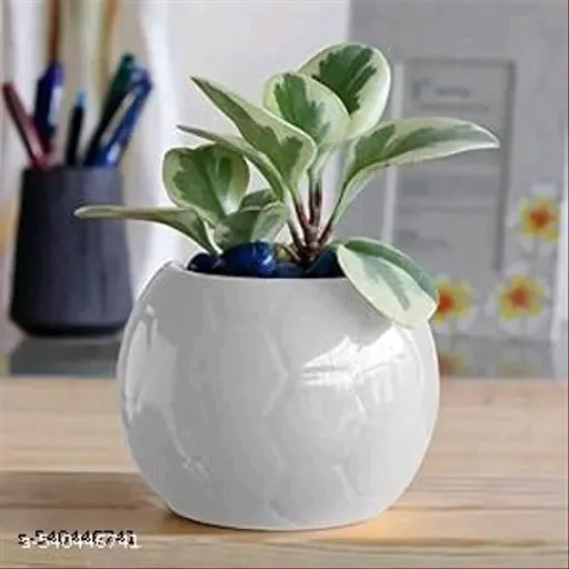 Football Ceramic Planter Pot